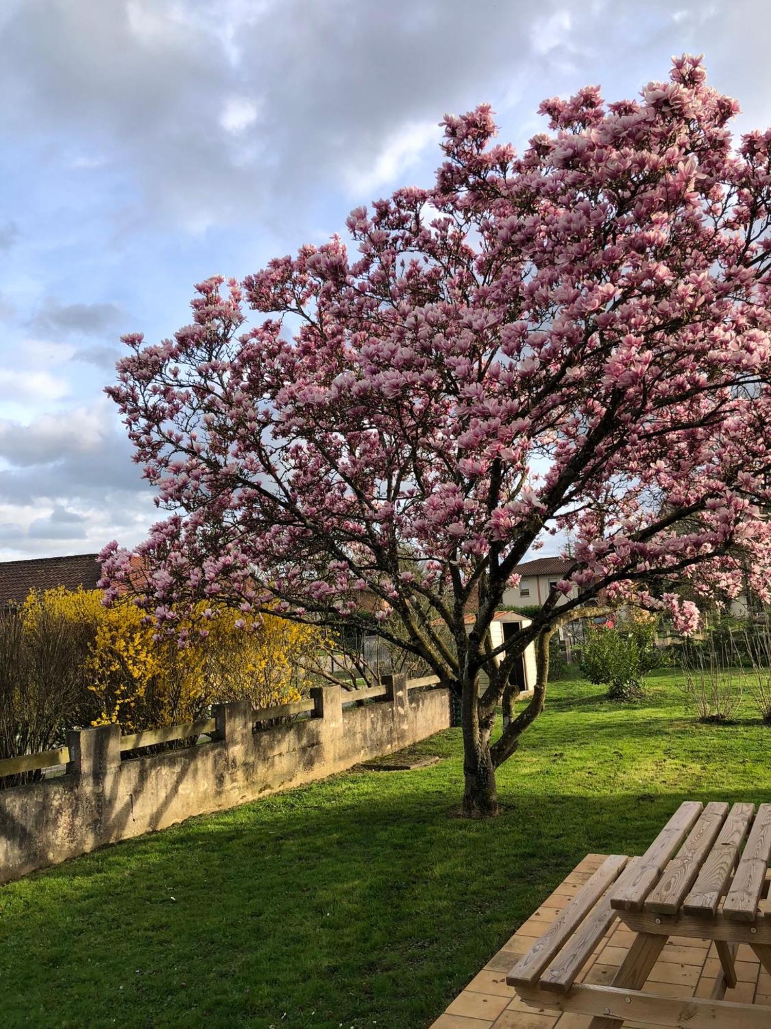 Saint-Étienne-sur-Reyssouze Parc De La Charmille B&B 외부 사진