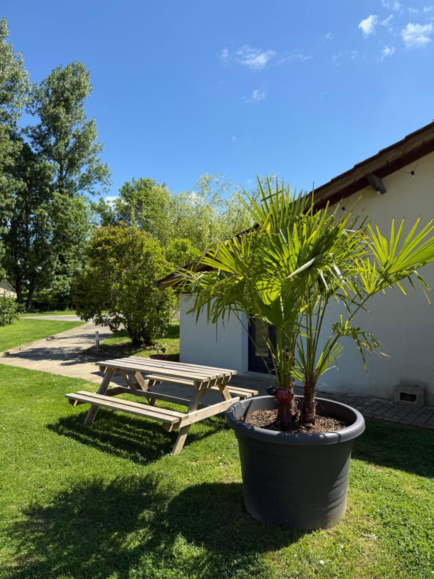Saint-Étienne-sur-Reyssouze Parc De La Charmille B&B 외부 사진