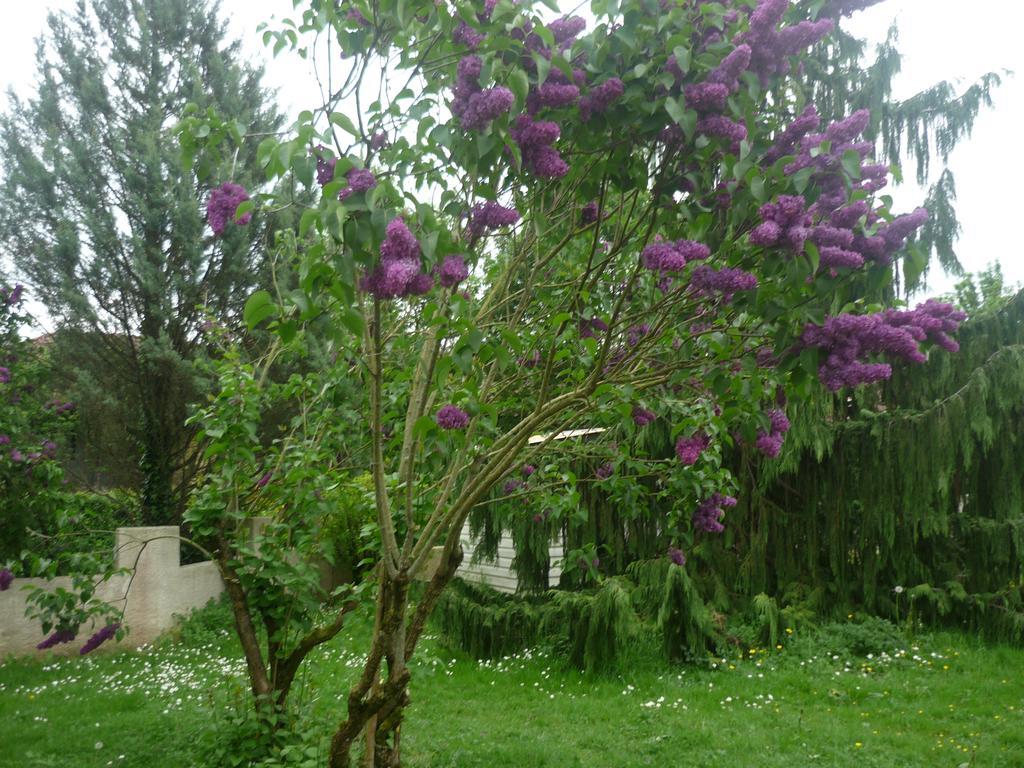 Saint-Étienne-sur-Reyssouze Parc De La Charmille B&B 외부 사진